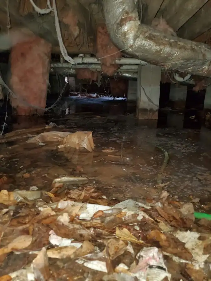 Crawl space flood assessment for Leak Detection & Repair in Bellmead